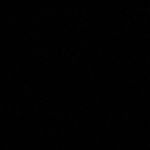 Meet your Posher, Cody